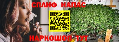 стаф Заводоуковск