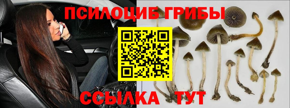 Псилоцибиновые грибы ЛСД  Галлюциногенные грибы ЛСД  Минеральные Воды  Вход с VPN 